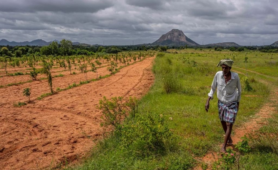 10 Ways Farmers Are Fighting Climate Change